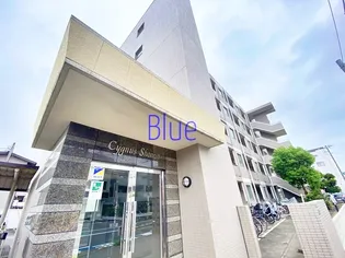 シグナス湘南の画像