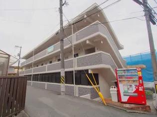 アドラー隅本の画像