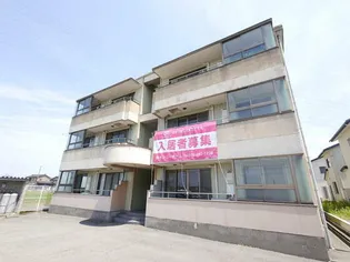 グリーン フィールドの画像