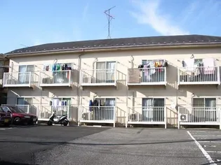 ステイツコイケの画像