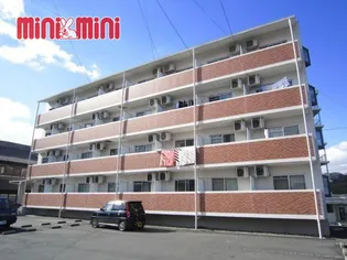 マルベリーハイアットIIIの画像