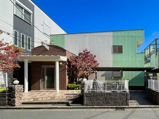 エバーグリーンの画像