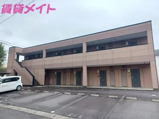 アプリコットの画像