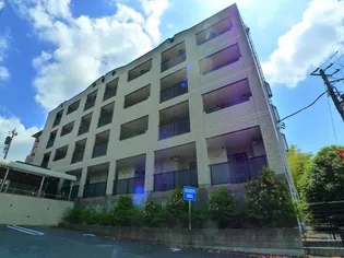 プリムローズの画像