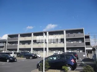 ルネスセレーノの画像