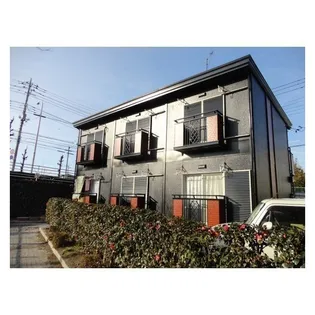 ノーブルセントレアの画像