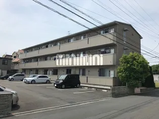 アクチュアリーMの画像