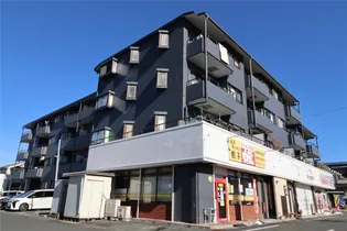 ダイヤモンド寿泉の画像
