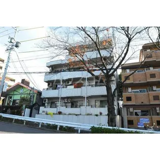 グレイス桜の画像
