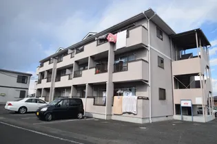 ロキシー プラセールの画像