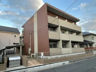 サニー ブライト 文蔵の画像