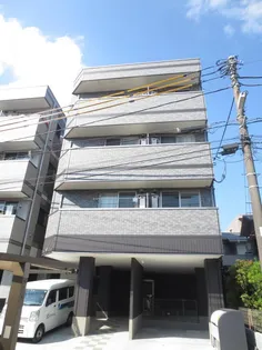 CHRYSANT MAKUHARI FIRSTの画像