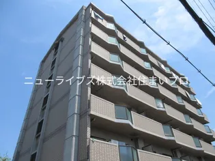 カサグランデの画像