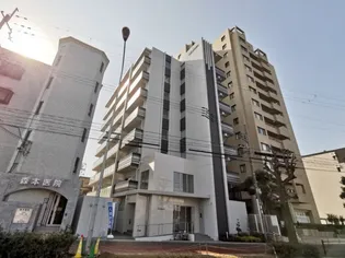 大阪府大阪市平野区長吉長原1【マンション】の外観