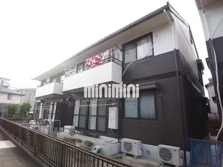 サンフラワーフジBの画像