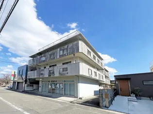 メゾンパルクNSの画像