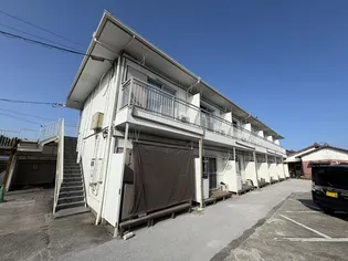 パインオリーブの画像