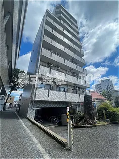 グレイスの画像