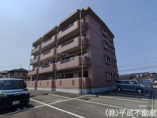 パークサイドカトレアの画像