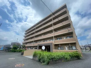 ノヴァ デ ガイアの画像