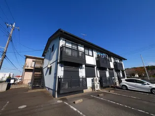 センチュリーの画像