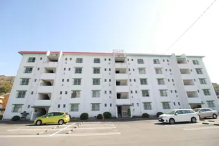 徳島県徳島市南庄町1【マンション】の外観