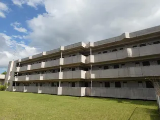 ベルシティ泉水【1階】の外観