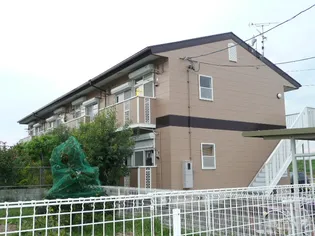 シャルマンMの画像