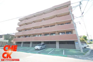 エクセルステージの画像