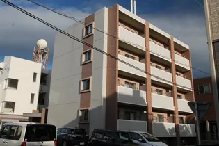 ウィングラッシアの画像