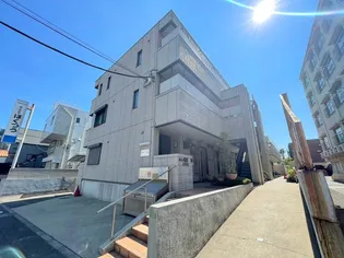 コリーヌスガイの画像