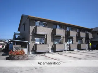 アネシスT Cの画像