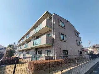 カラコレスの画像