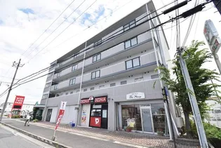 ルネス アンの画像