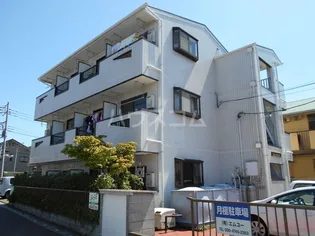 シャロンローズの画像