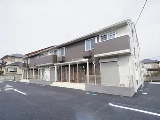 カリーノの画像