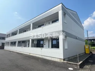 サン エバーラストTの画像