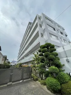 シャトー レ セルズィエールの画像