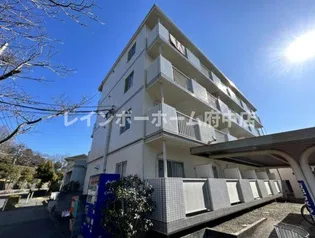 C'S 7 KOBAYASHIの画像