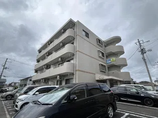 カームストリームの画像