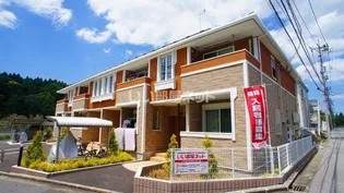 プルメリアの画像