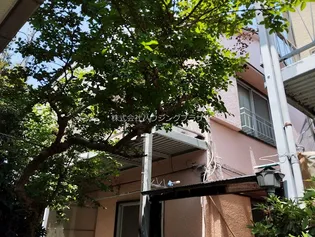 ハウスチサト【1階】の外観