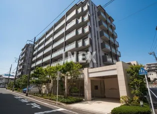 クレヴィア東白楽の画像