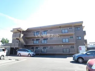 LIEN D'AMURの画像