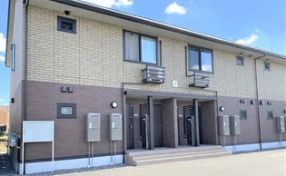 キキョウK Tの画像