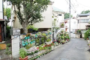 ブルーハイム【1階】の外観