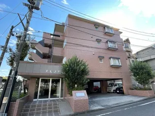 アゼリアの画像