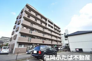 アレーグレ Sの画像