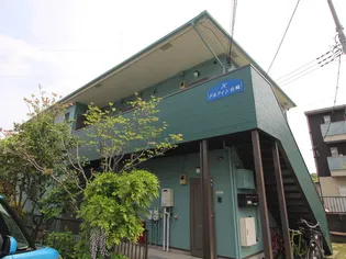 ドルフィン山崎の画像