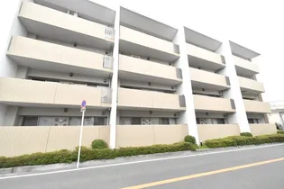 シャトレ秋桜の画像